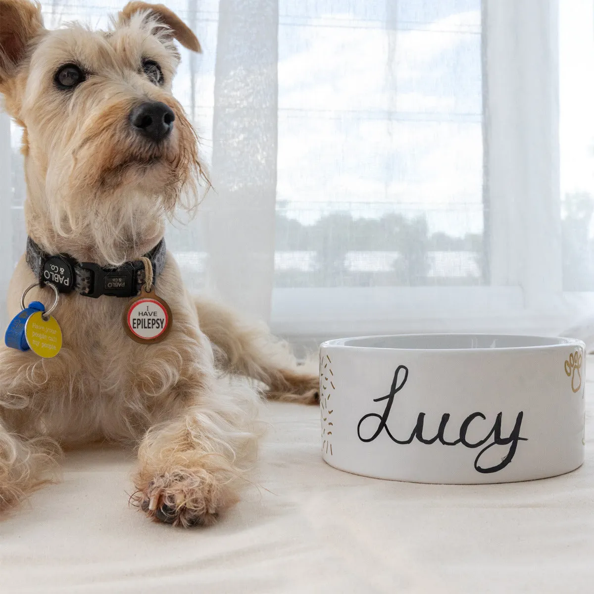 DIY Pet Bowl