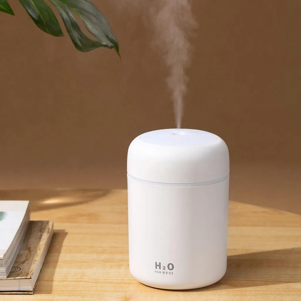 Mini LED Humidifier