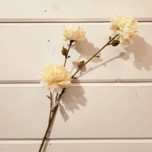 Mum Spray