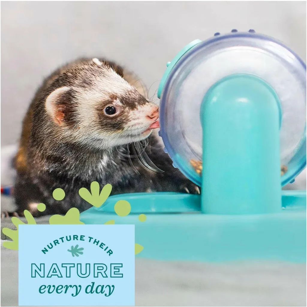 Oxbow Enriched Life Rolly Teaser Toy For Small Animals